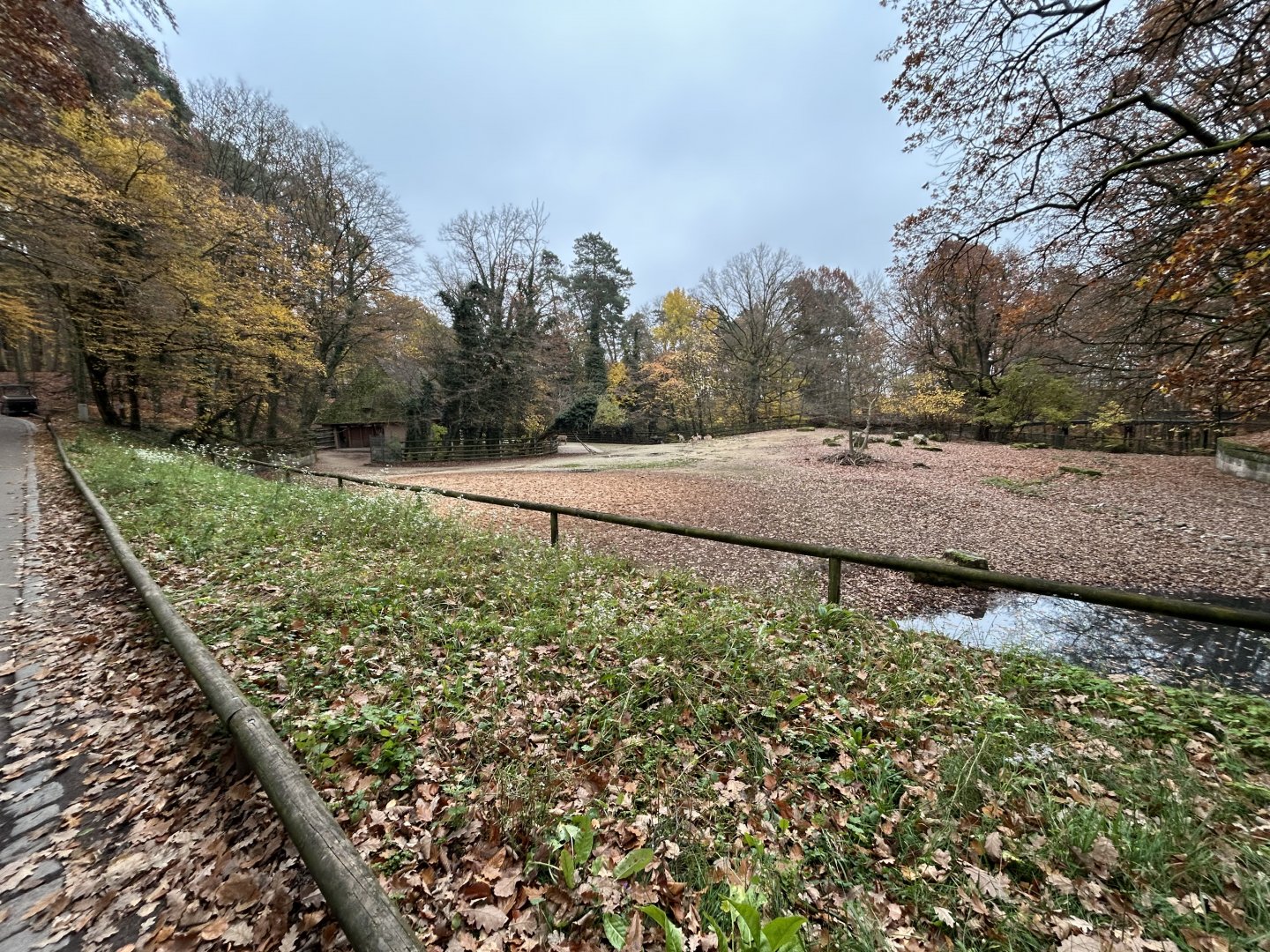 Nilgai & Blackbuck Exhibit