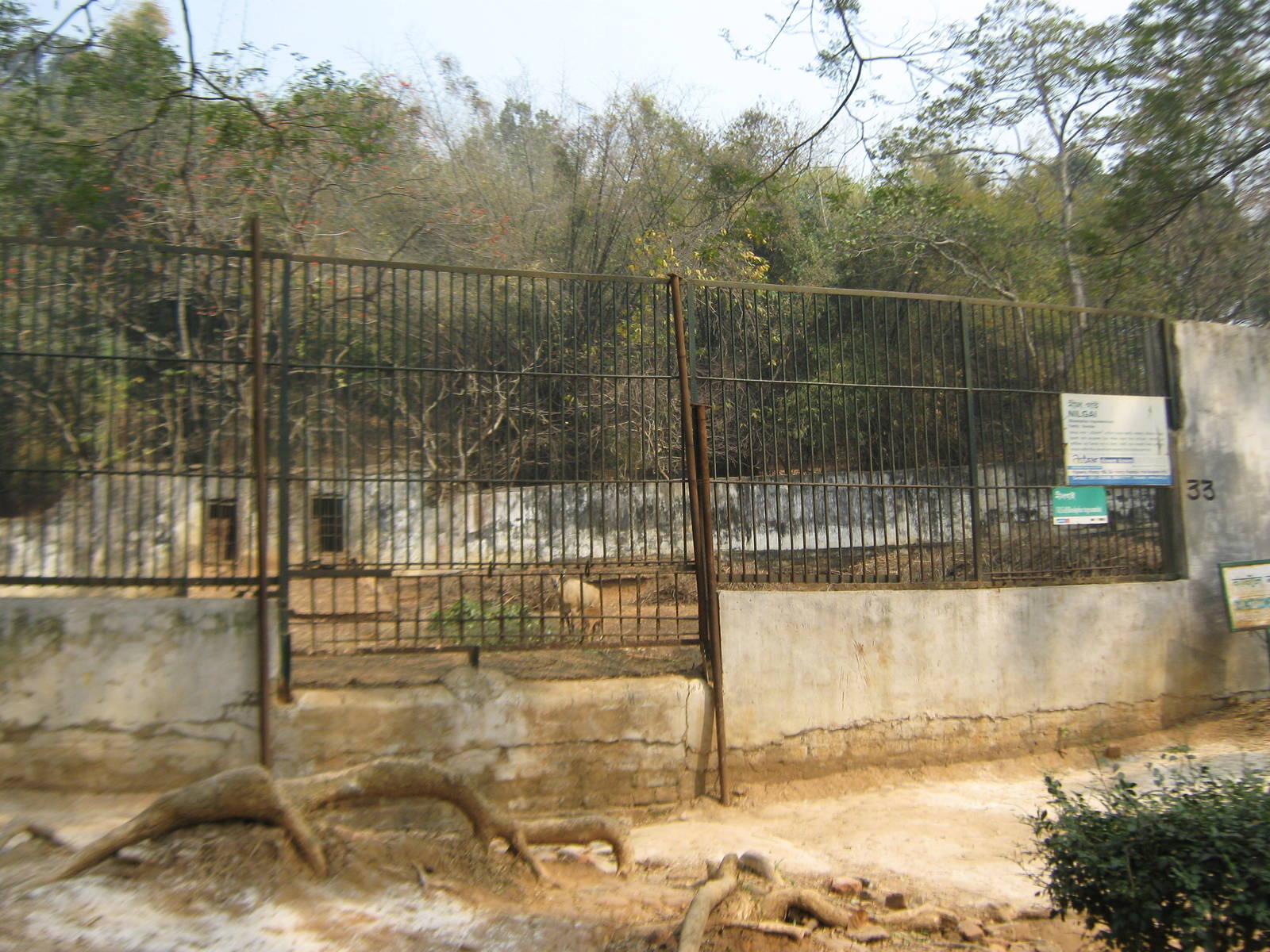 nilgai enclosure