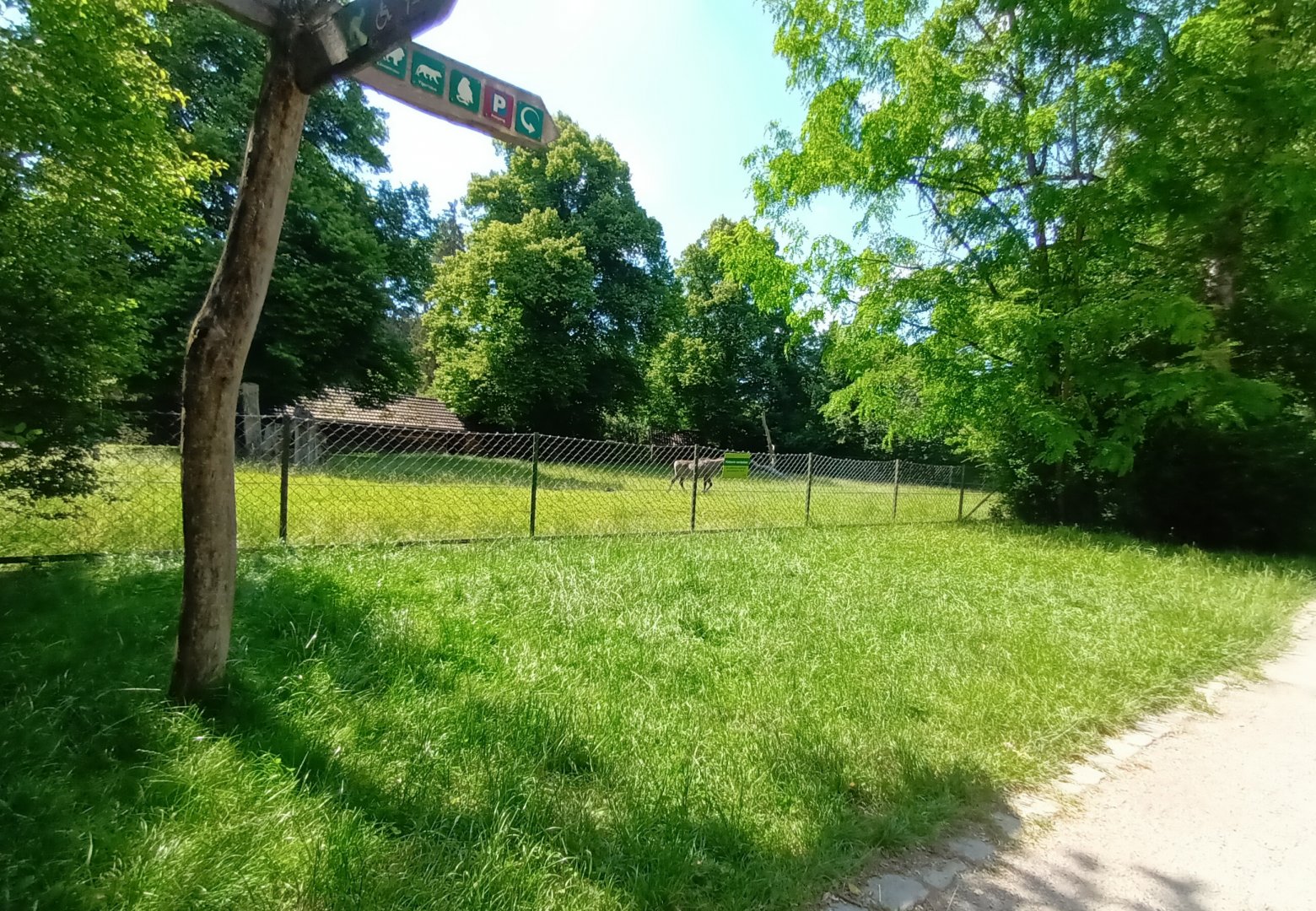 Nilgai Enclosure