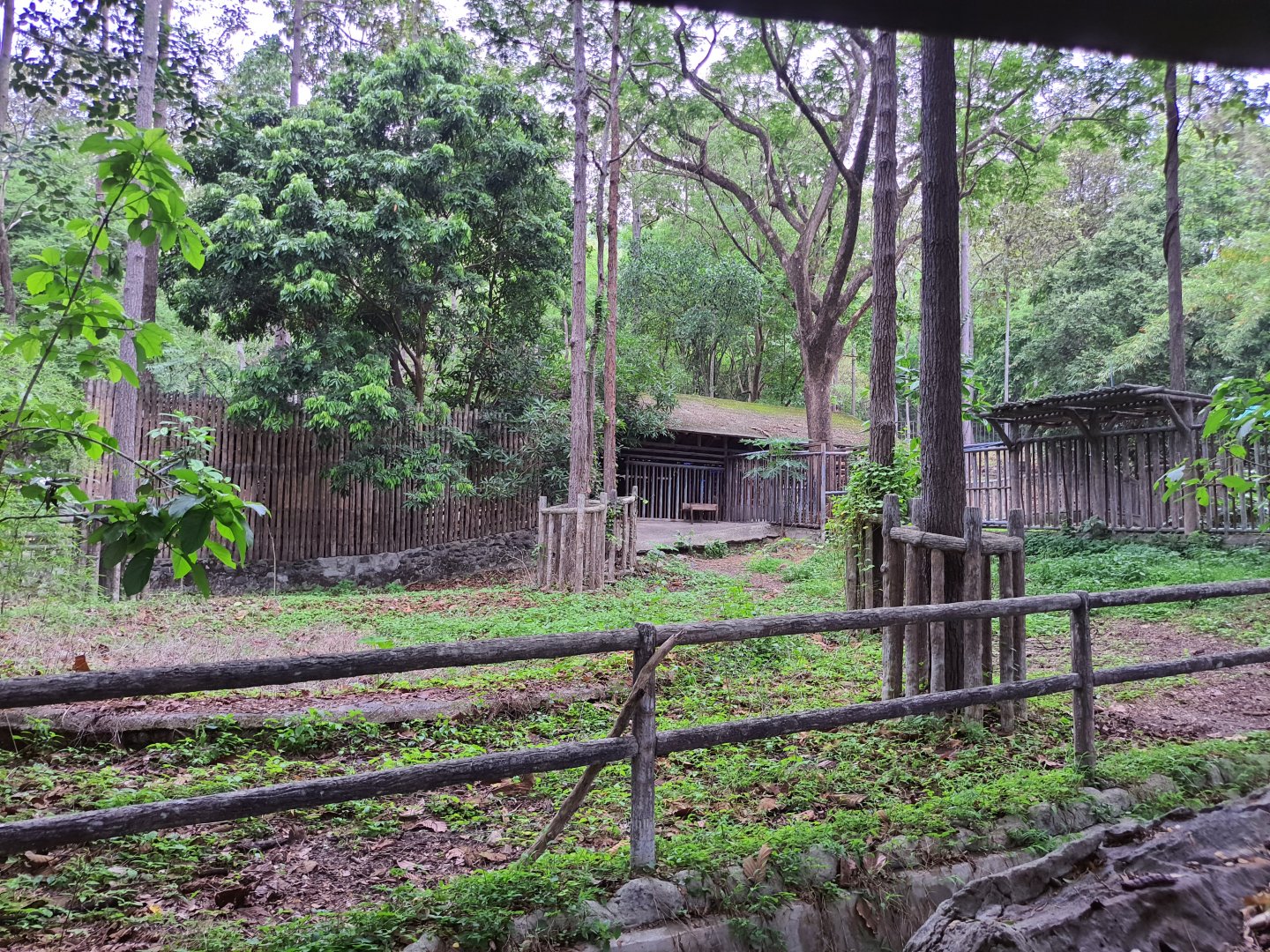 Nilgai Enclosure