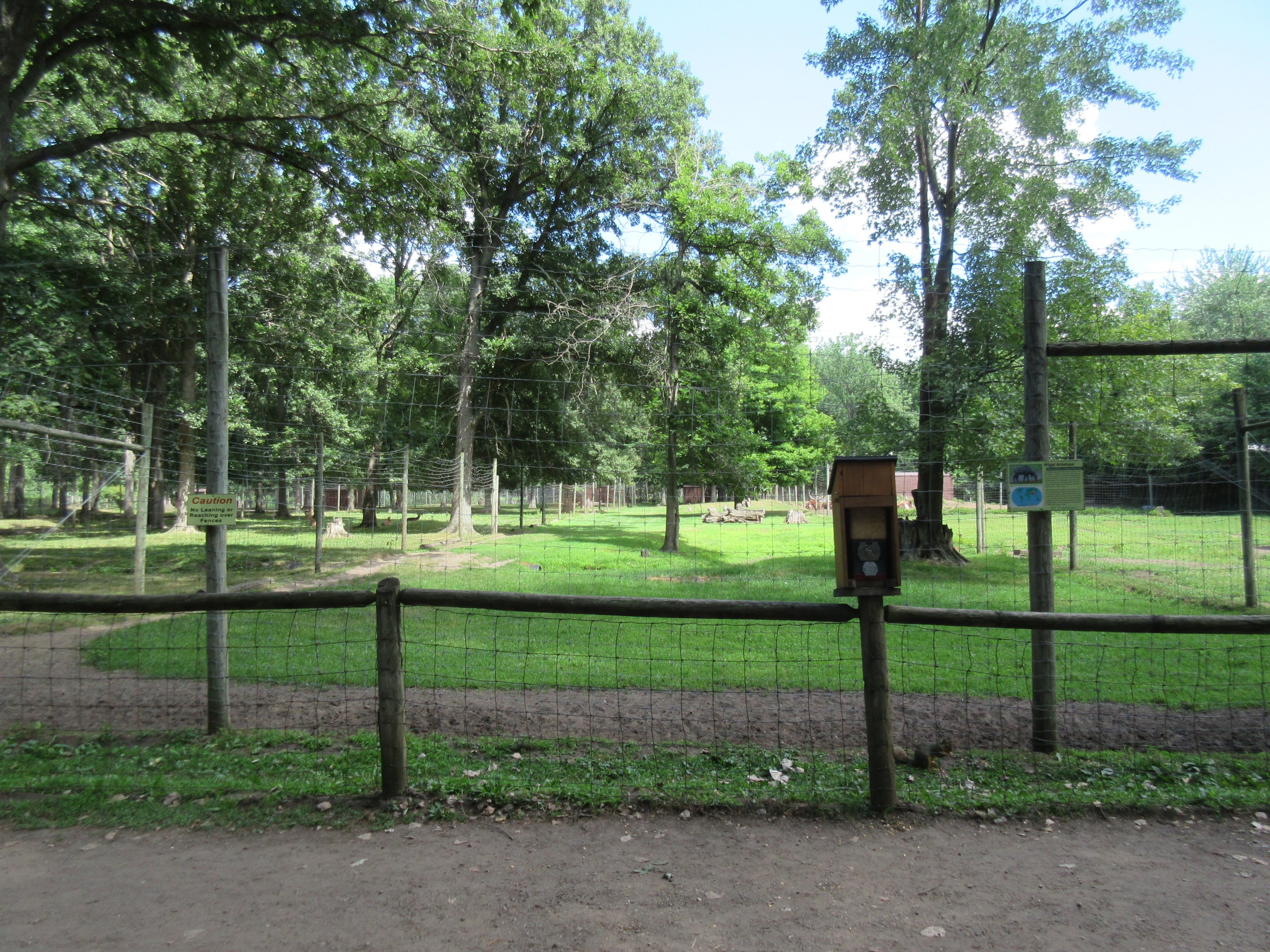 Nilgai Exhibit