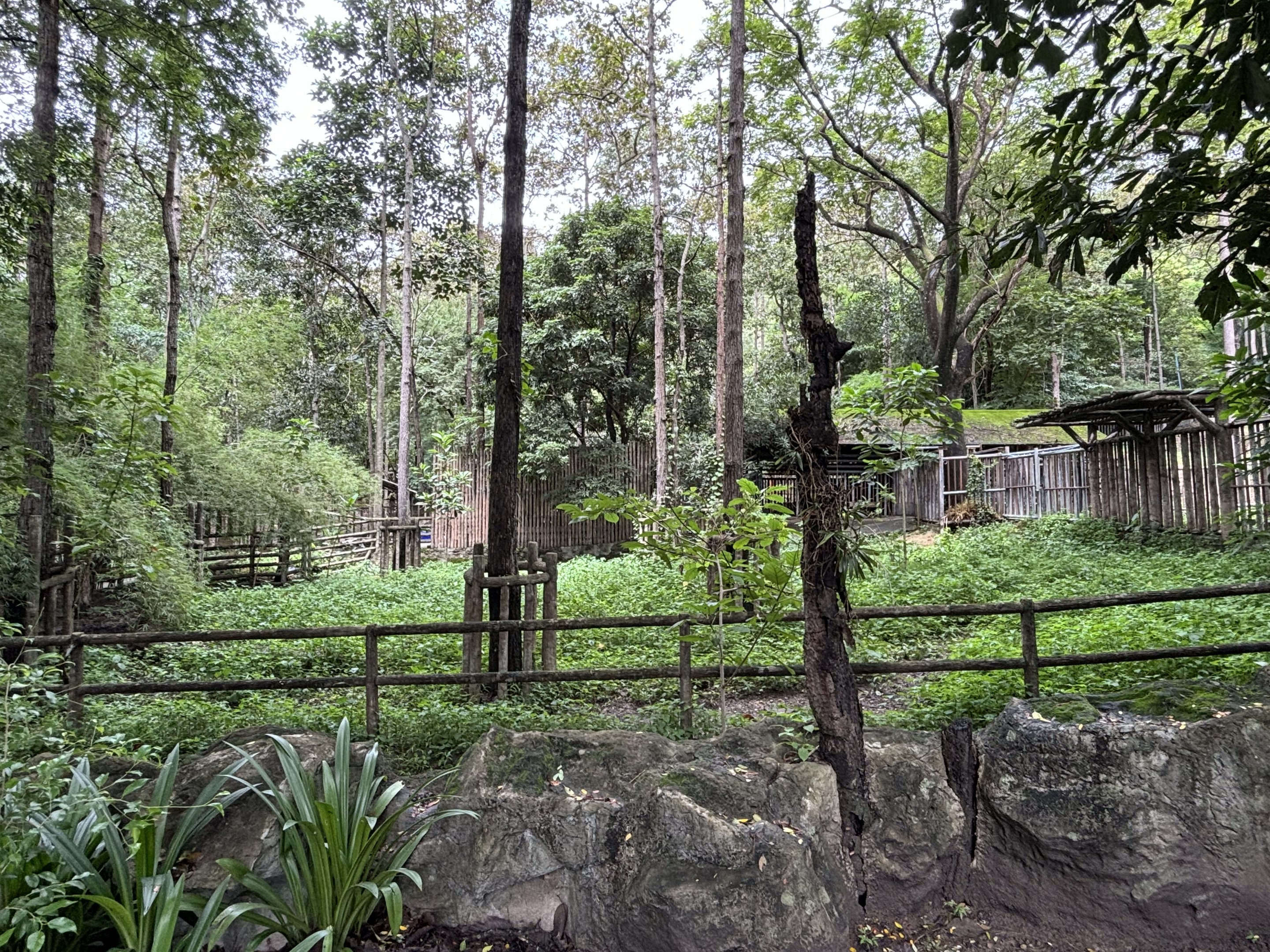 Nilgai Exhibit