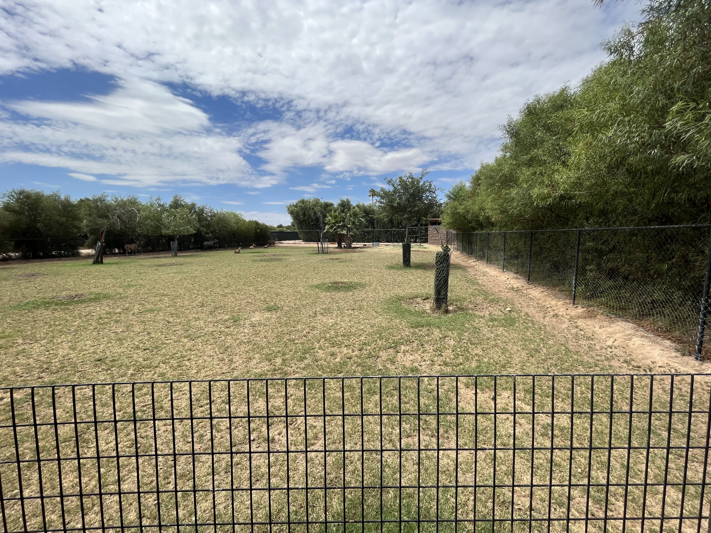 Nilgai/Sarus Crane Exhibit