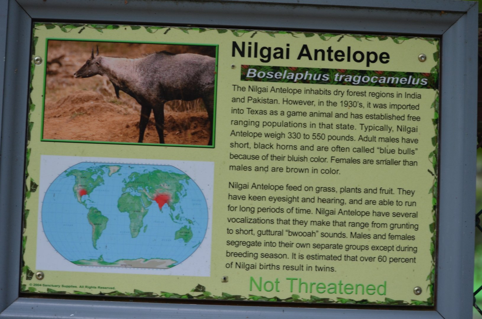 Nilgai Signage