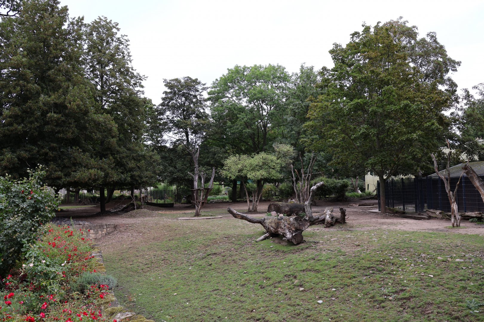 Nilgau and Common Hog Deer enclosure