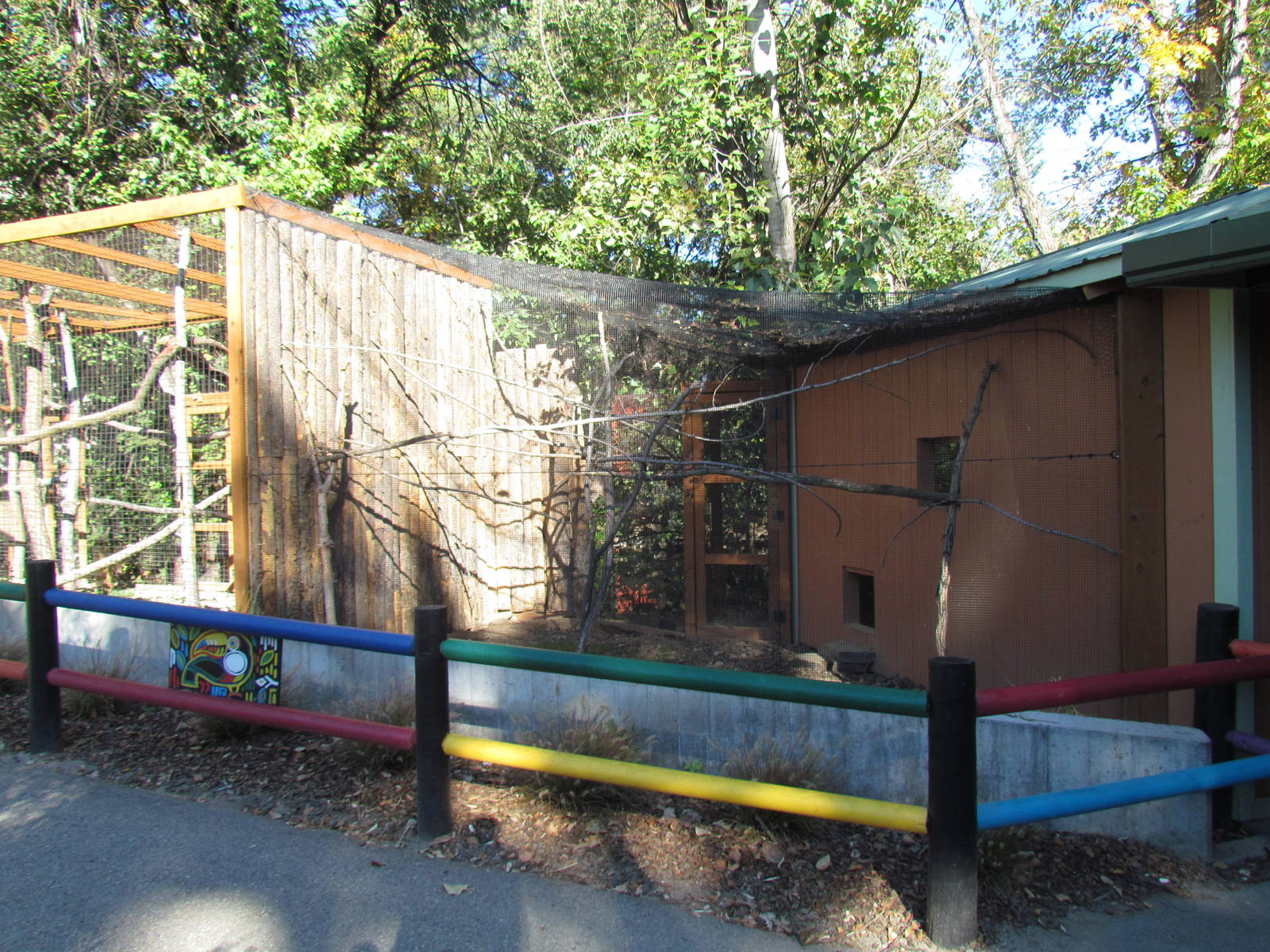 Nine-banded Armadillo, Blue-gray Tanager, and Red-capped Cardinal Exhibit