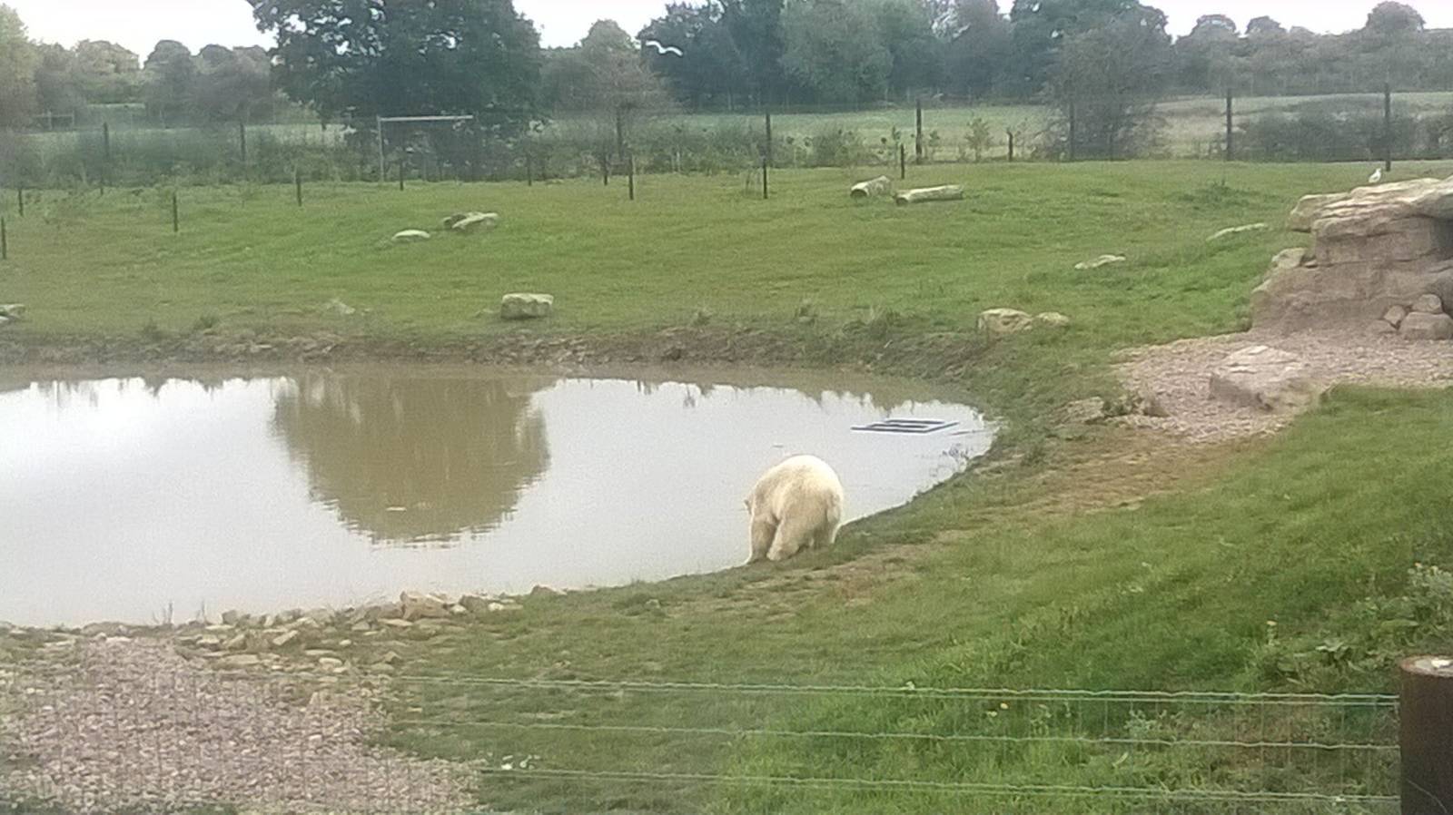 Nissan -18th Oct 2015