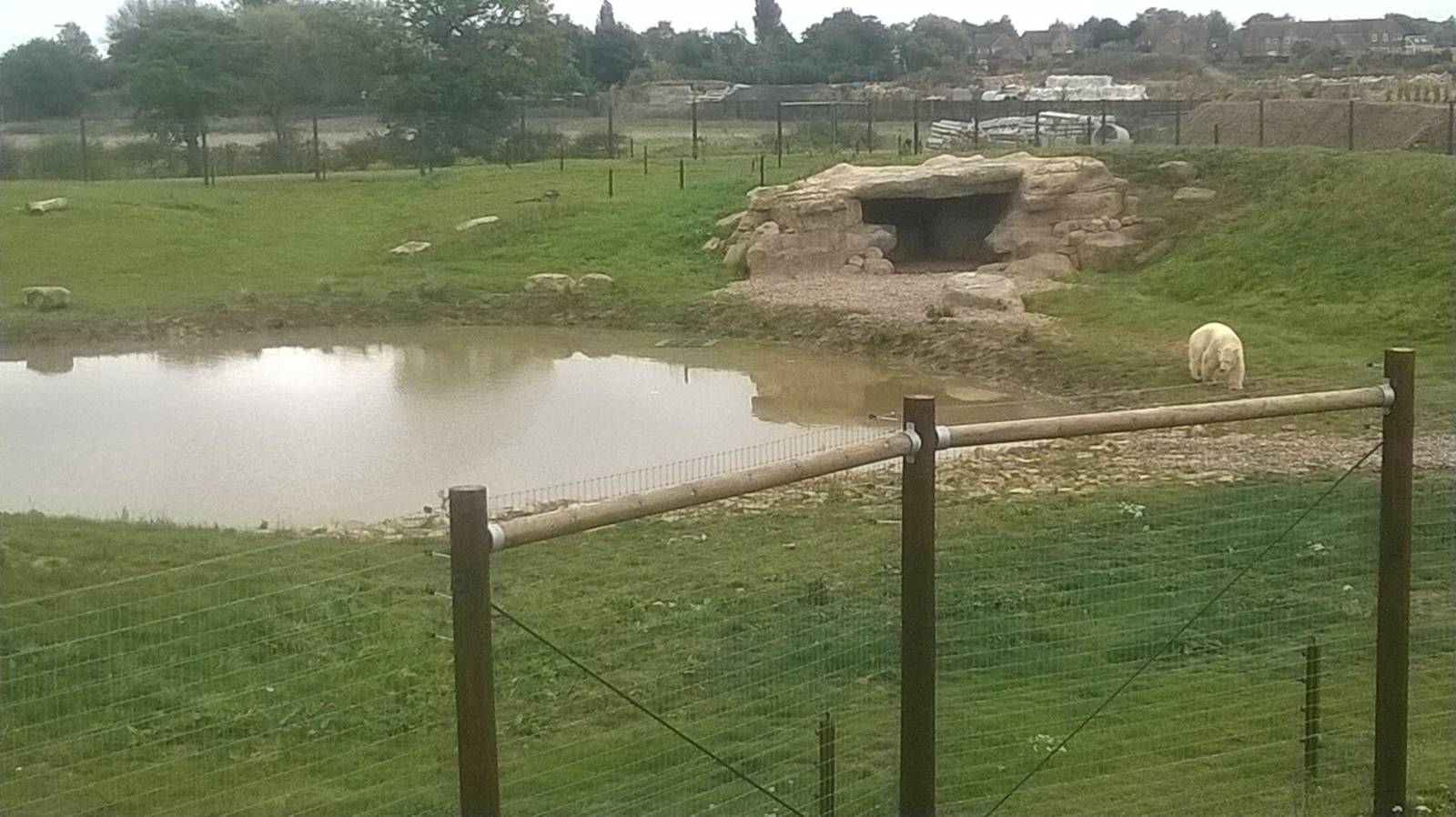 Nissan in new encosure - 18th Oct 2015