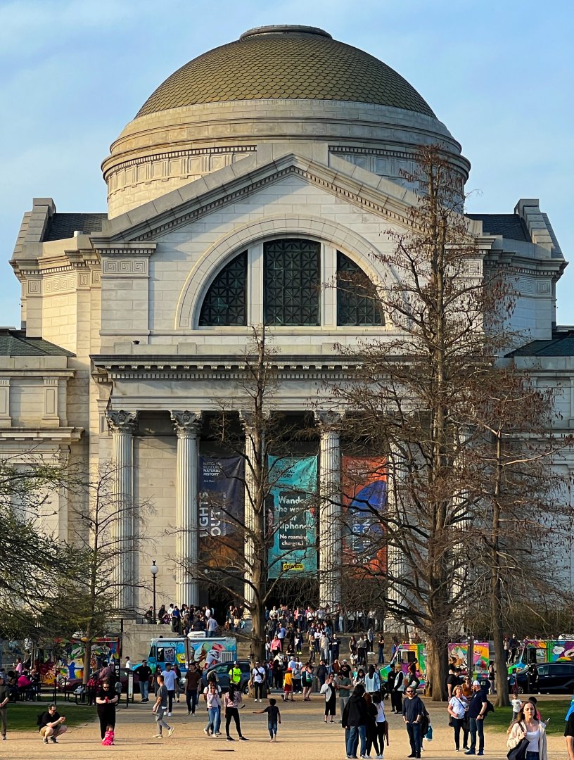 NMNH National Mall Facade Closeup