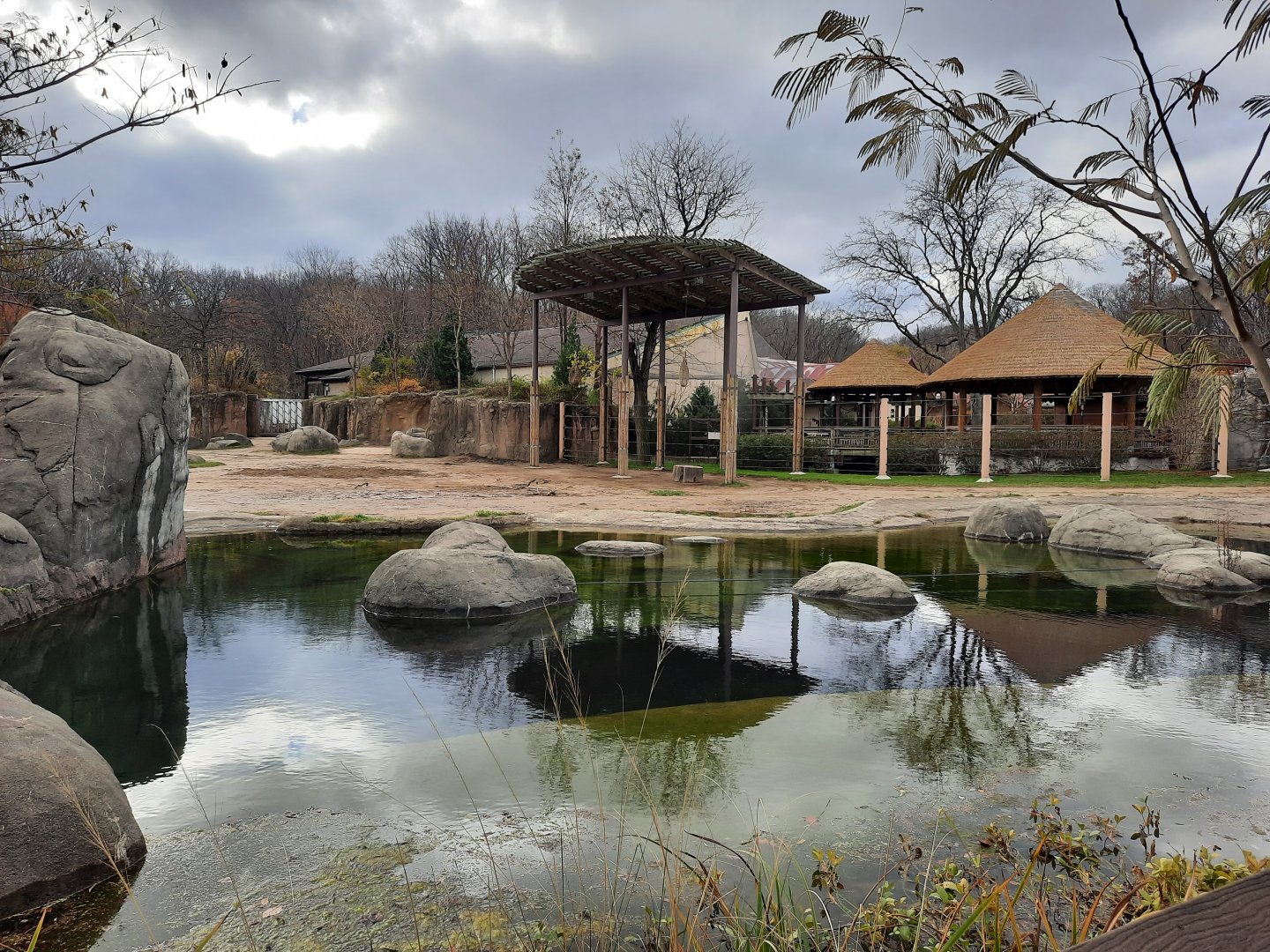 No Elephants at Elephant Crossing