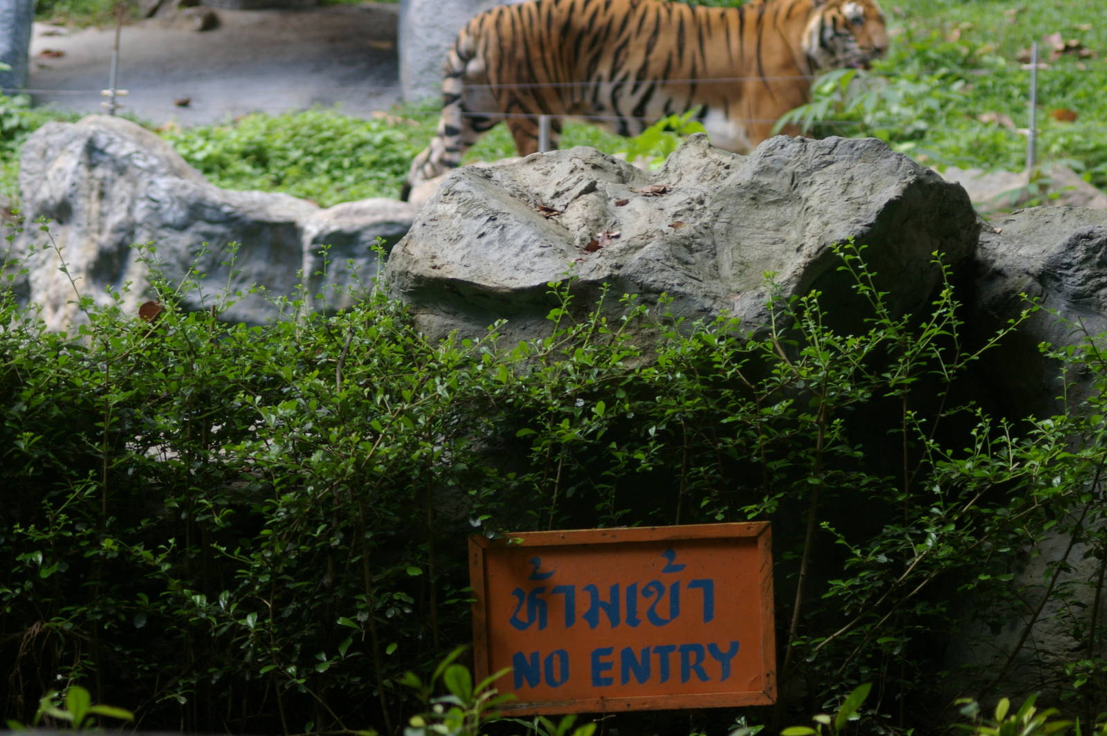 no entry sign! - at Chiang Mai Zoo (Thailand)