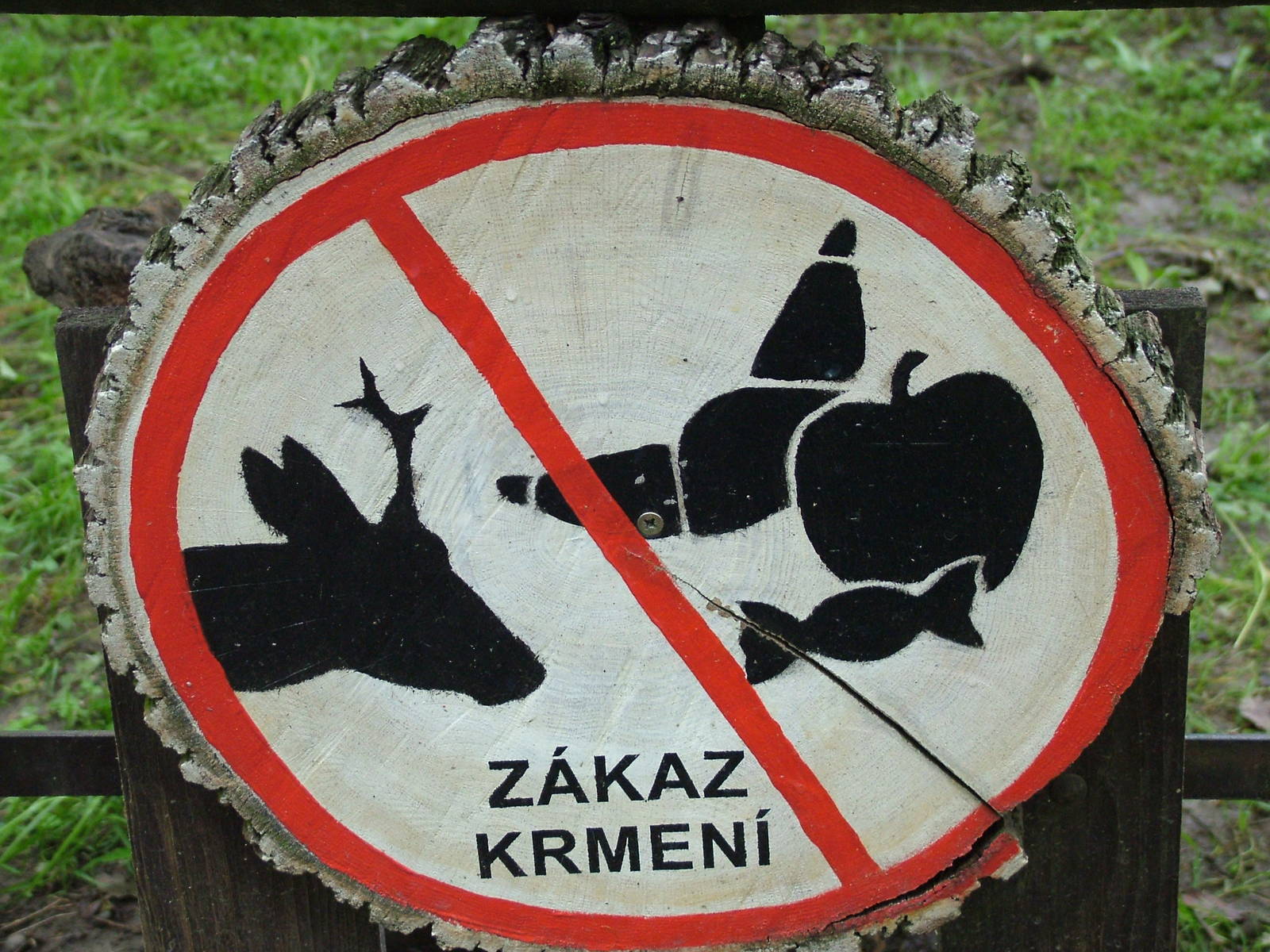 No Feeding sign at Brno, 27/05/10