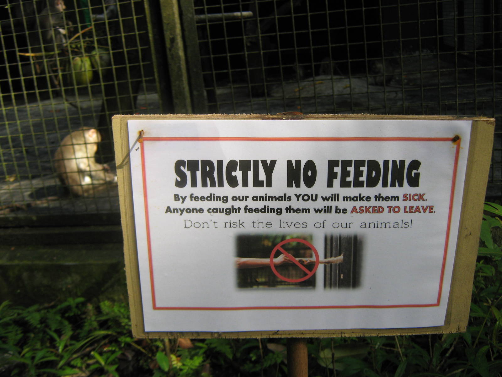 no feeding sign