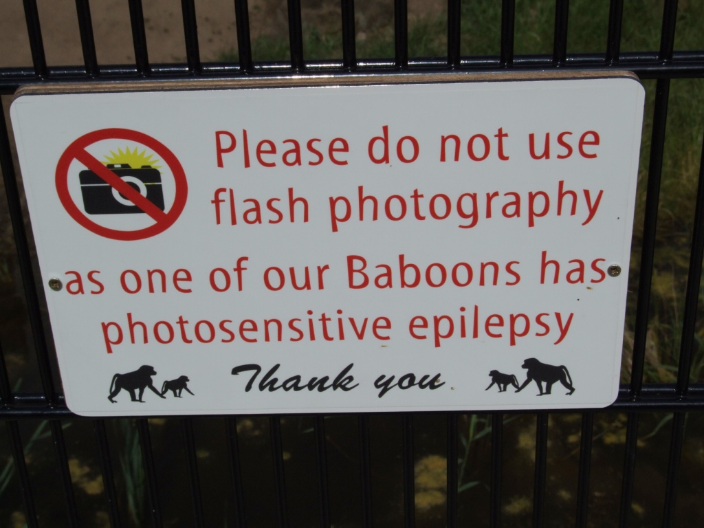 No Flash for a Very Good Reason at Yorkshire WP, 21/06/14