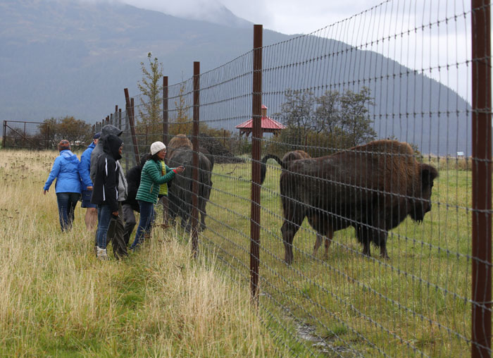 no guard rails anywhere