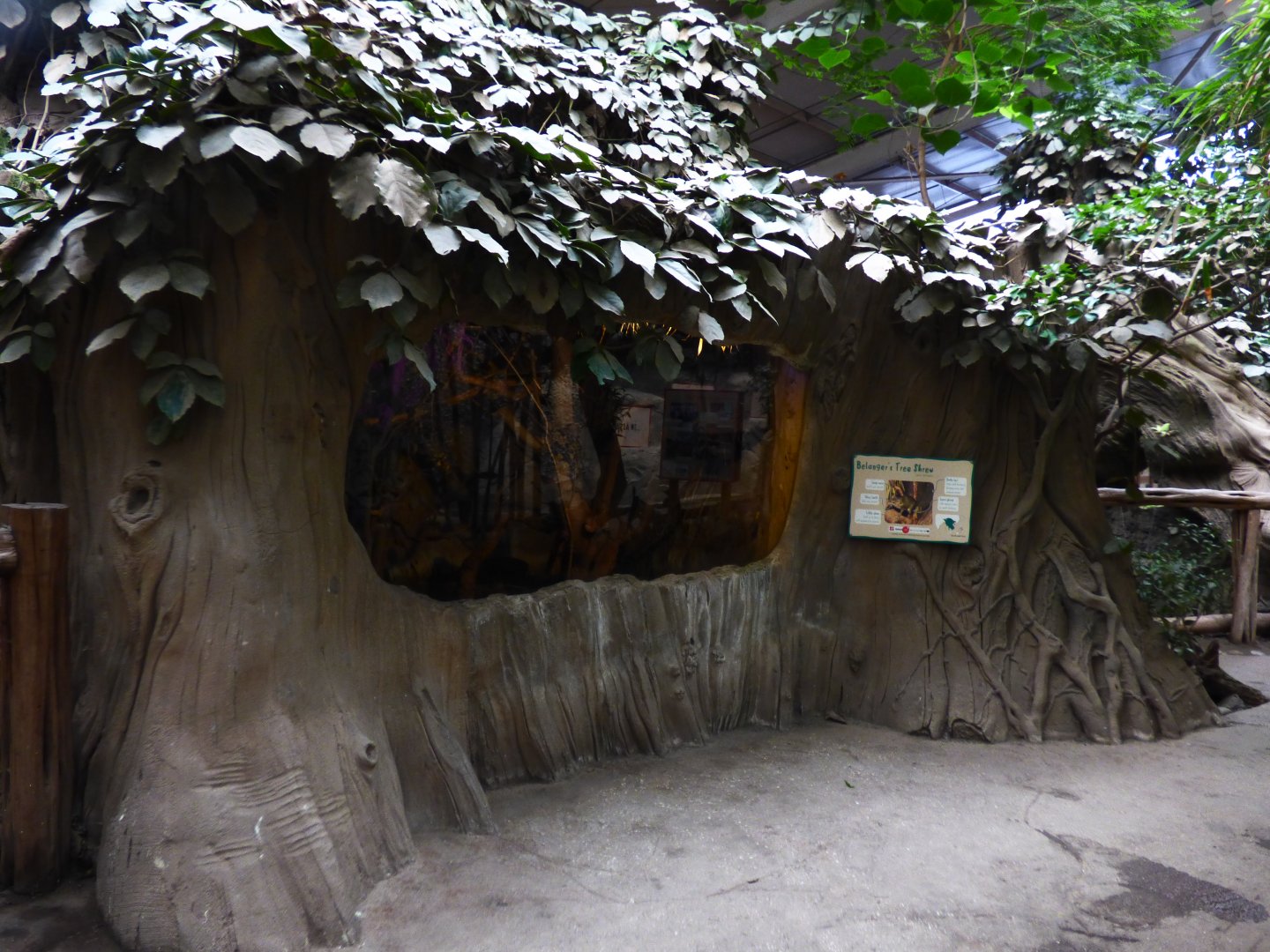 No more Cloud Rat (For now atleast)