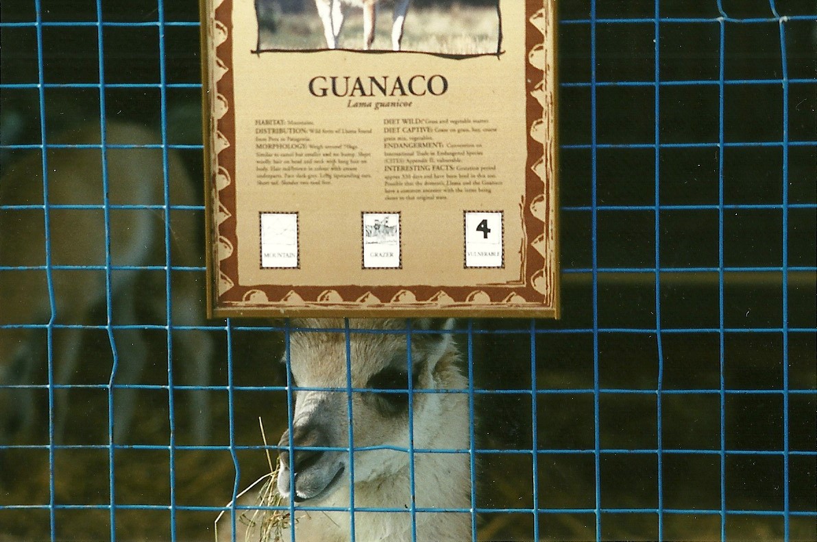 No need for a description! 25th September 1999