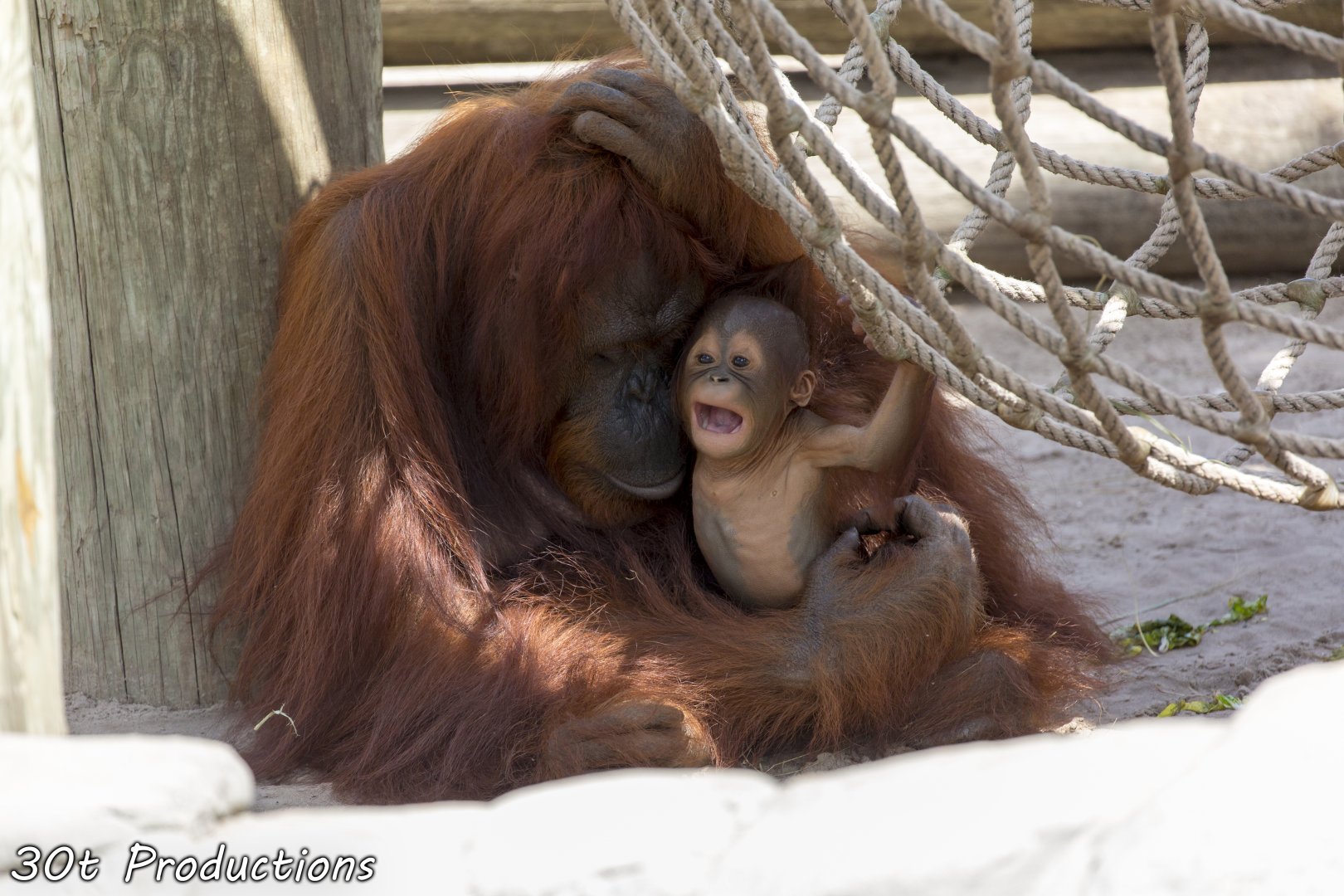 No quiet time for mom