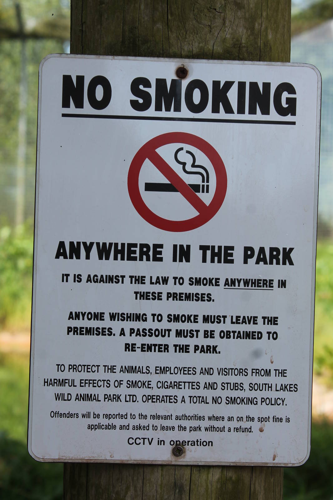 No Smoking sign, South Lakes 6th June 2014
