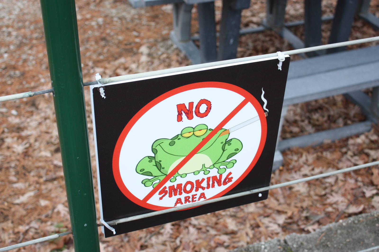 No Smoking Sign