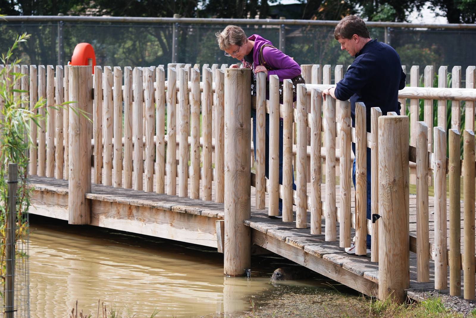 No Troll Under this Bridge at Yorkshire WP, 05/08/12