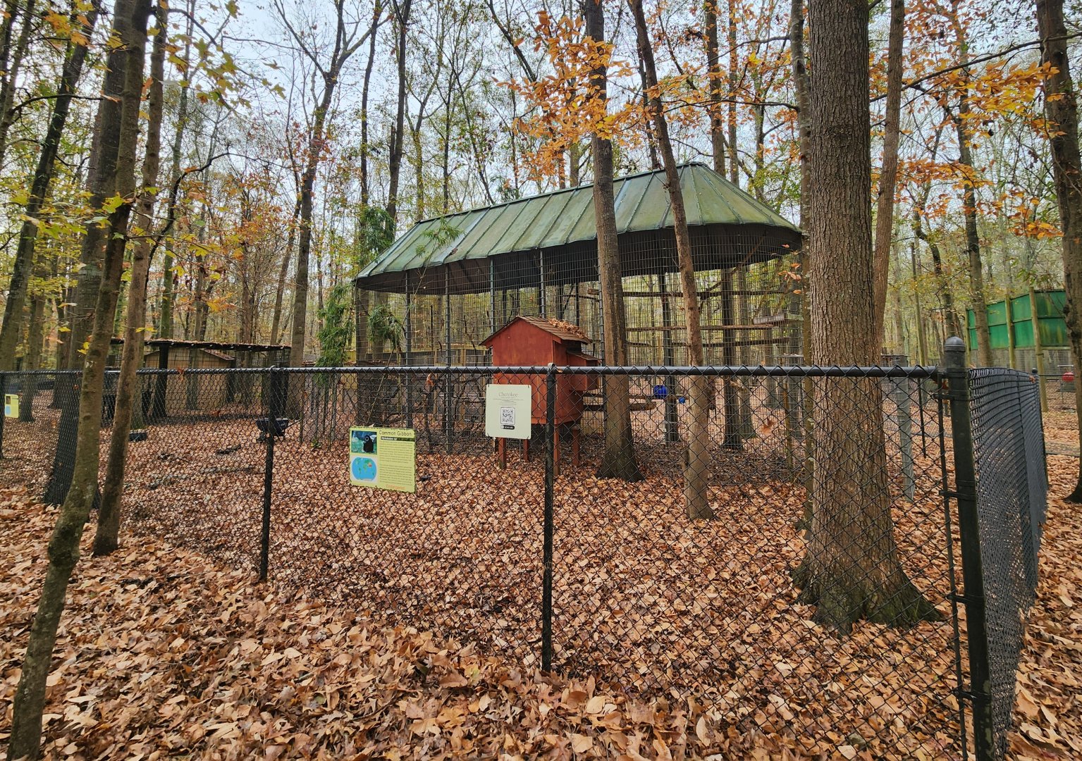 Noah's Ark - Lar Gibbon/Brown Lemur exhibits