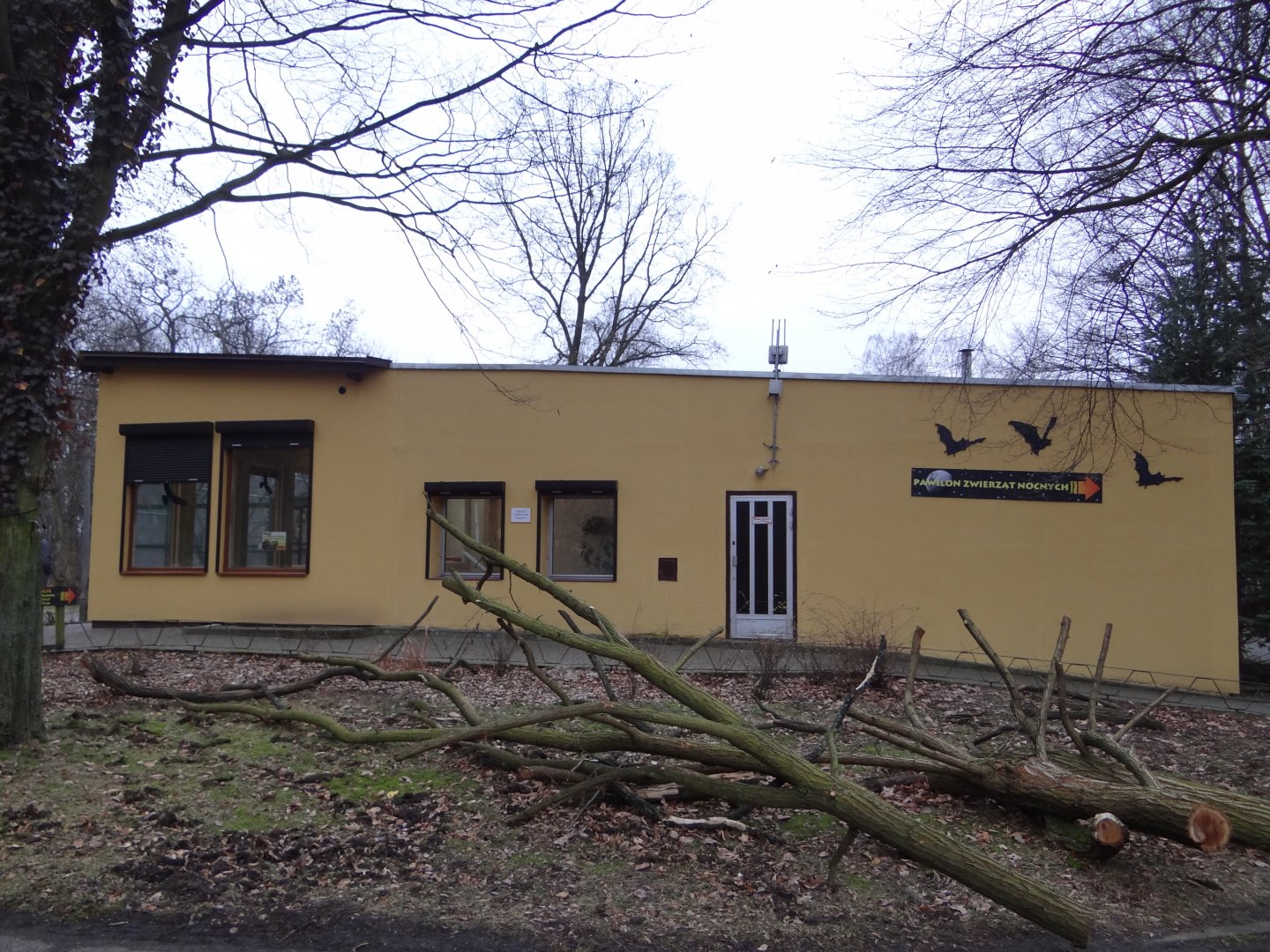 Noctural house after renovation.