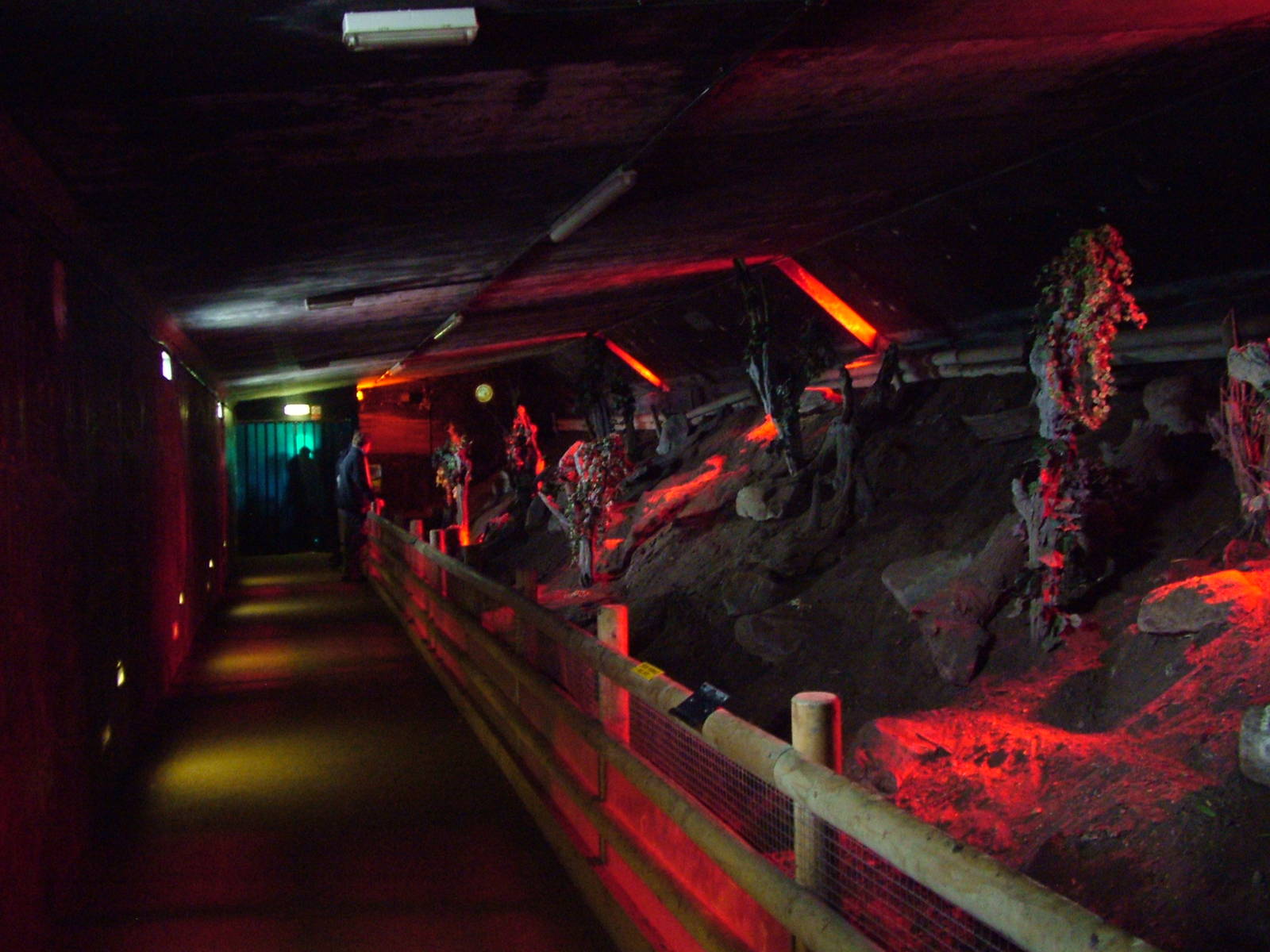 Noctural Walkthrough at Shepreth 05/04/10