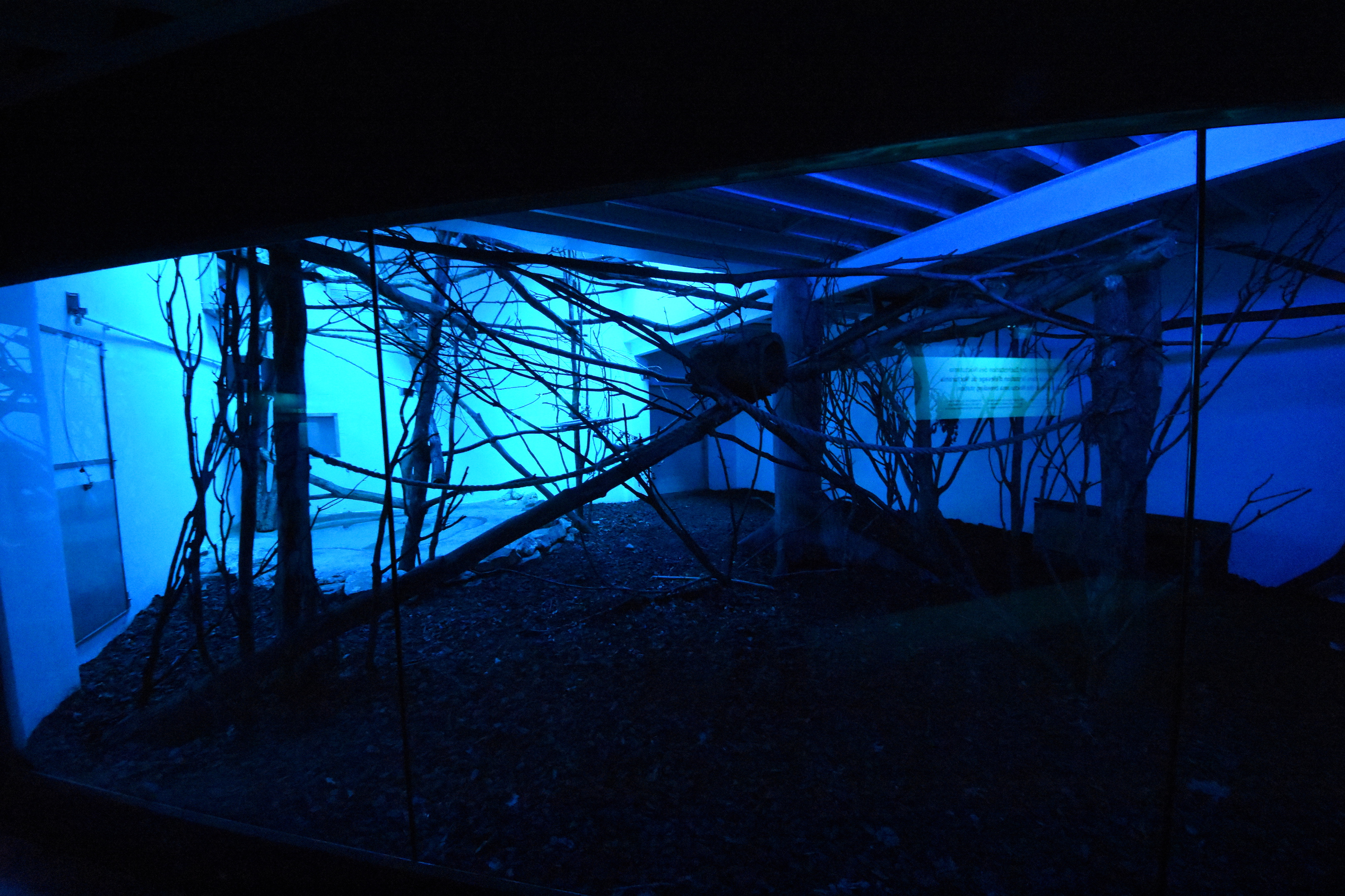 Nocturama - breeding centre