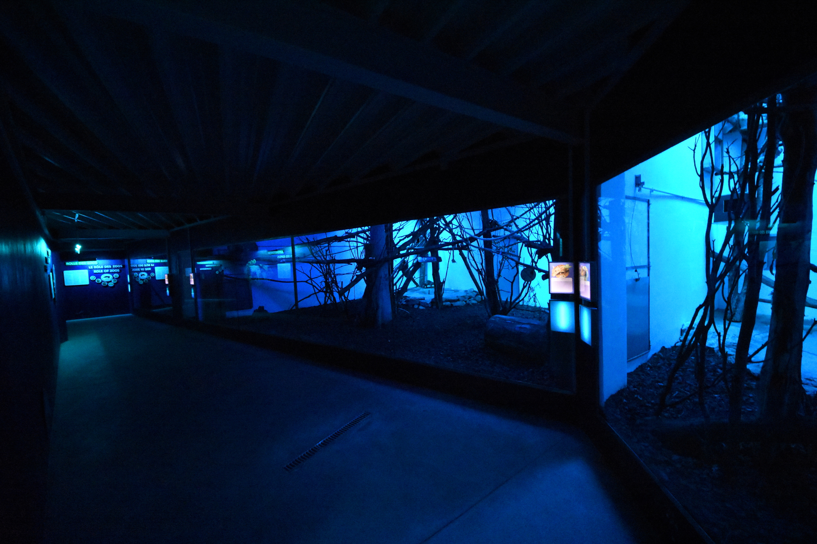 Nocturama - breeding centre