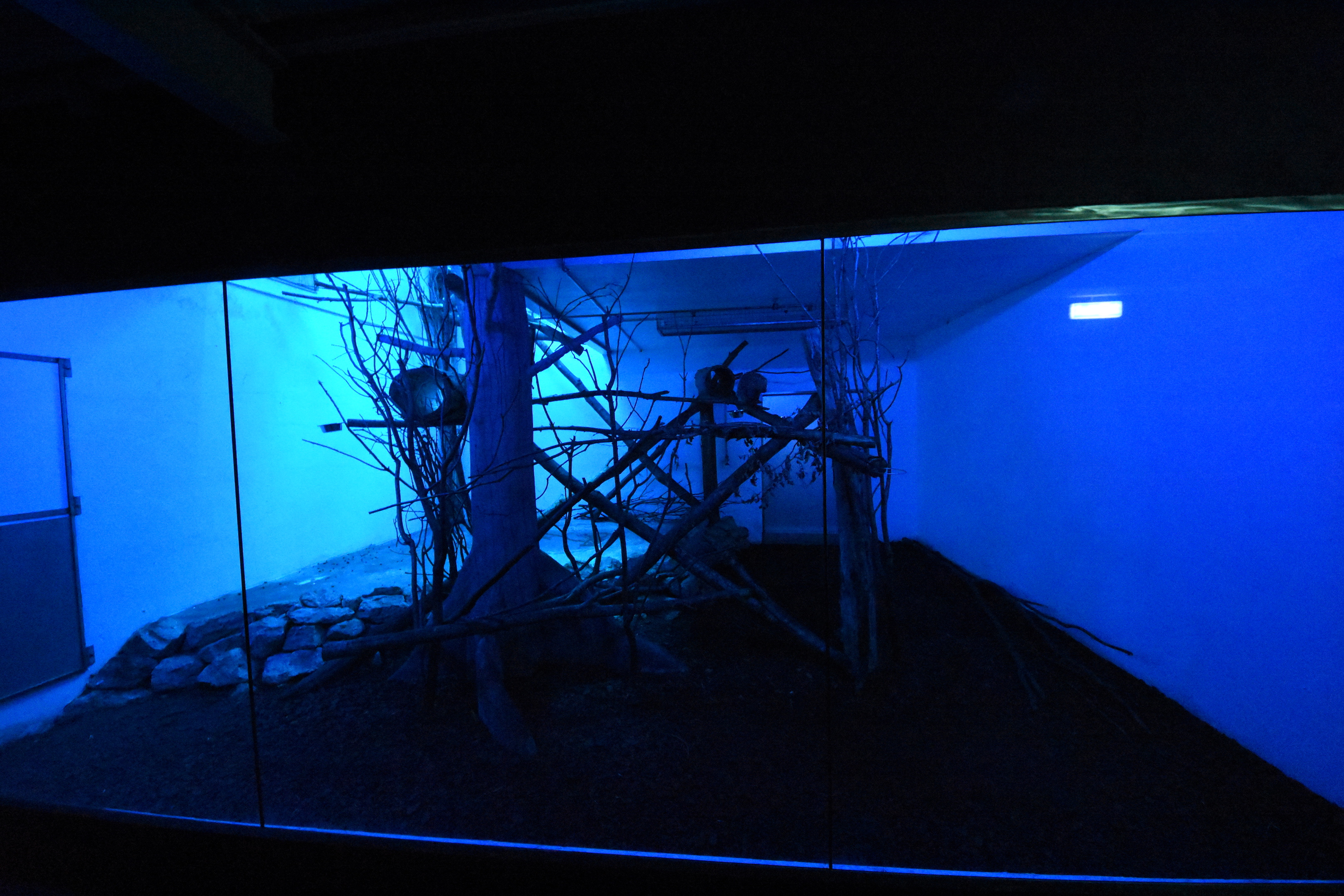 Nocturama - breeding centre