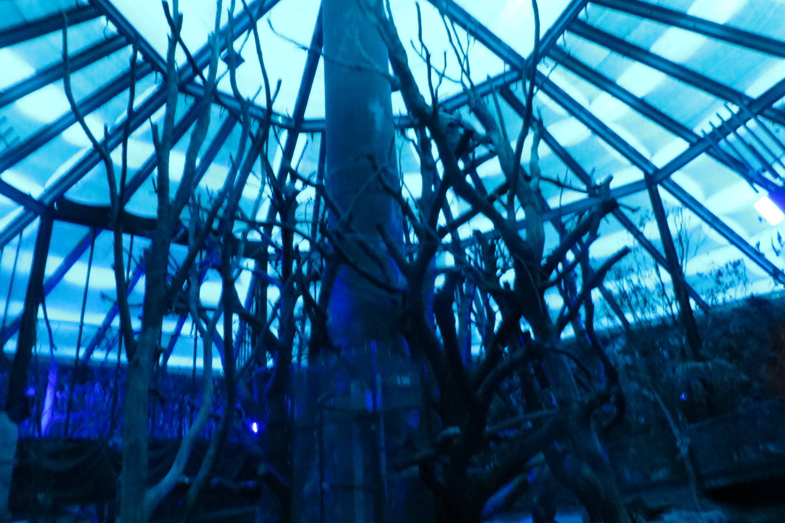 Nocturama Centre Exhibit 130816