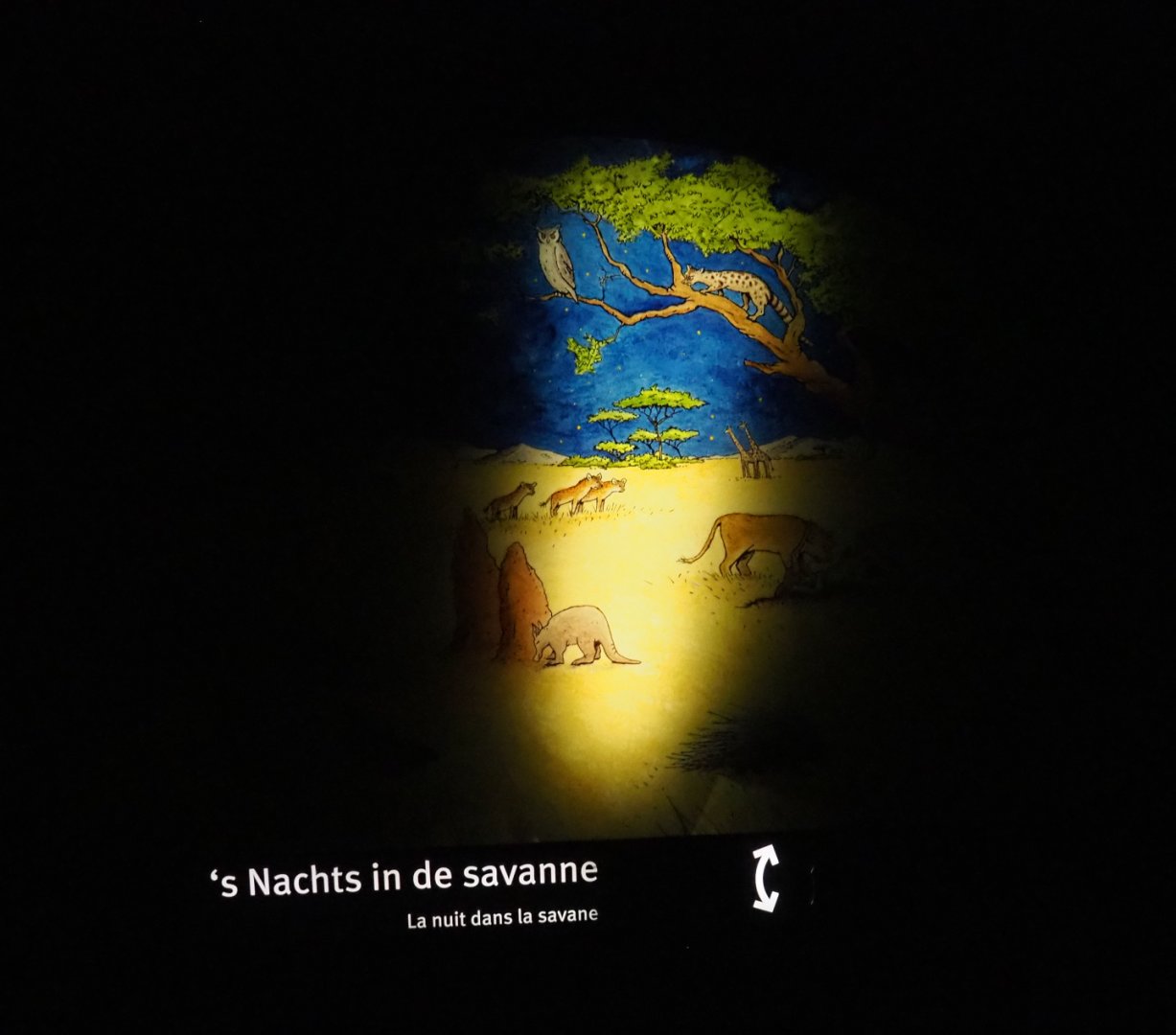 Nocturama (Closed in 2019) - Example of educational nocturnal habitat displays, 2019-06-22