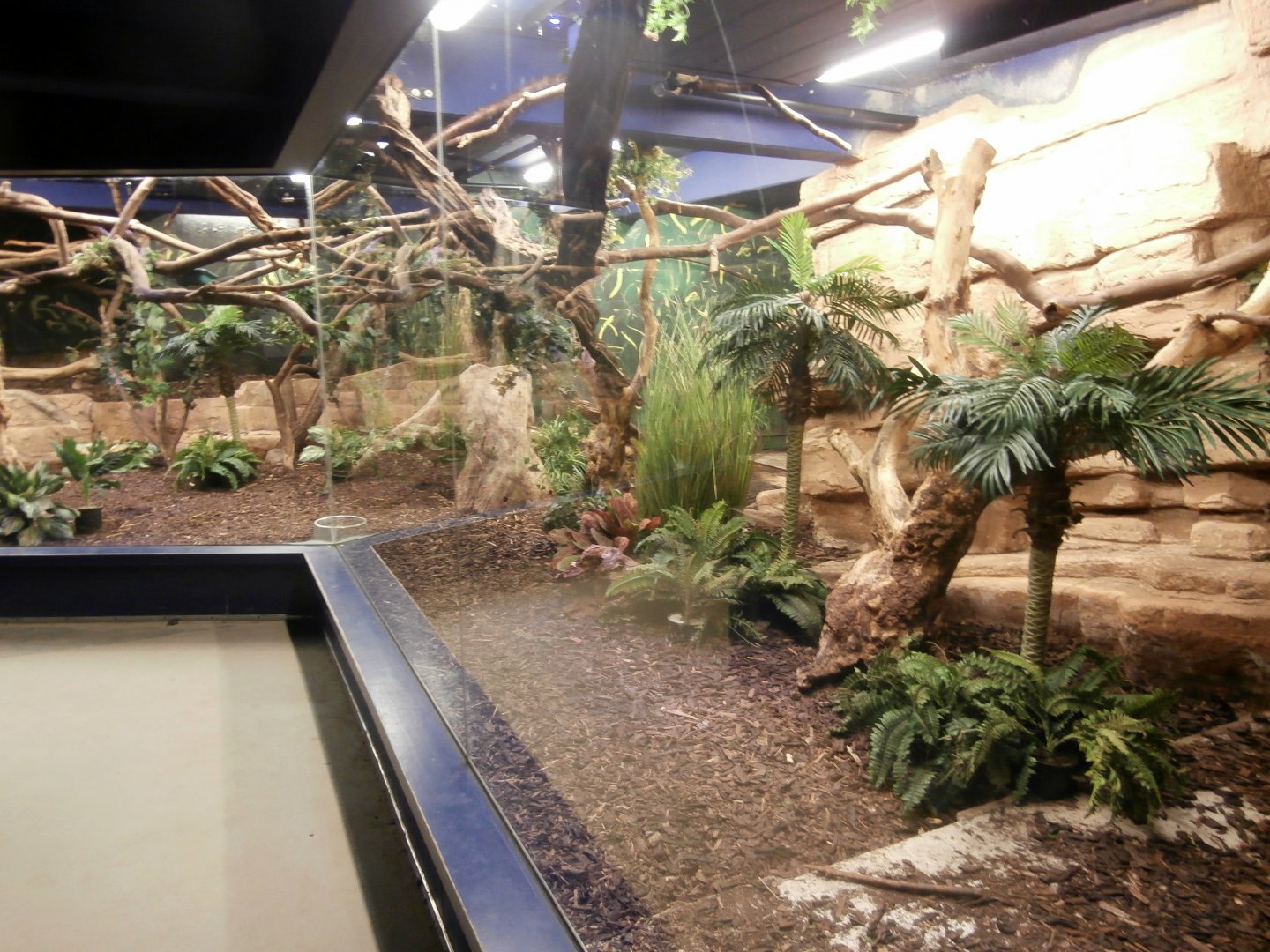 Nocturama enclosure with lights on