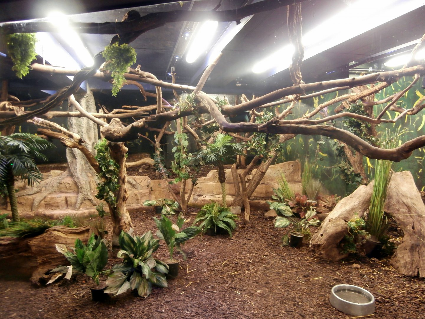 Nocturama enclosure with lights on