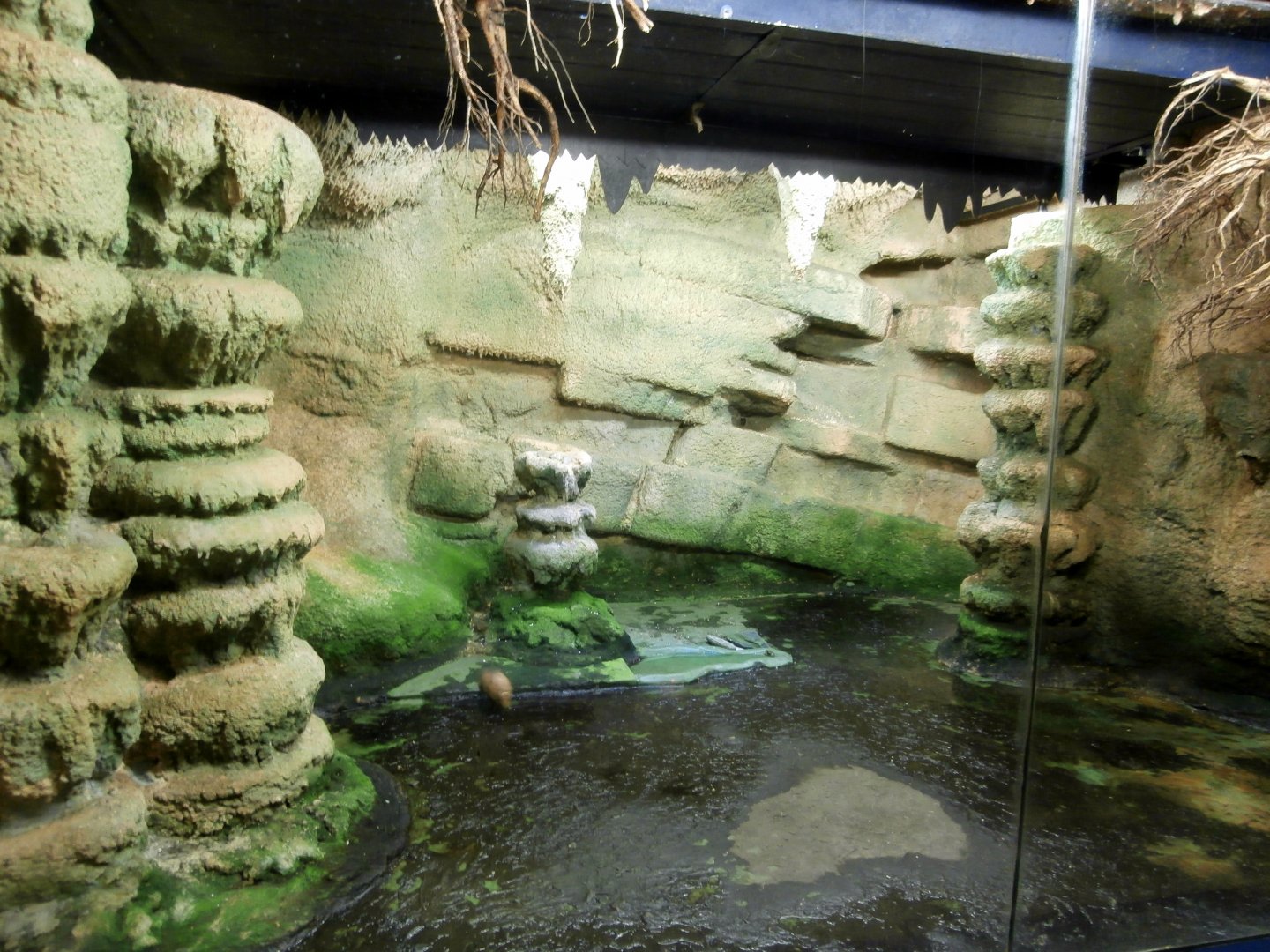 Nocturama enclosure with lights on