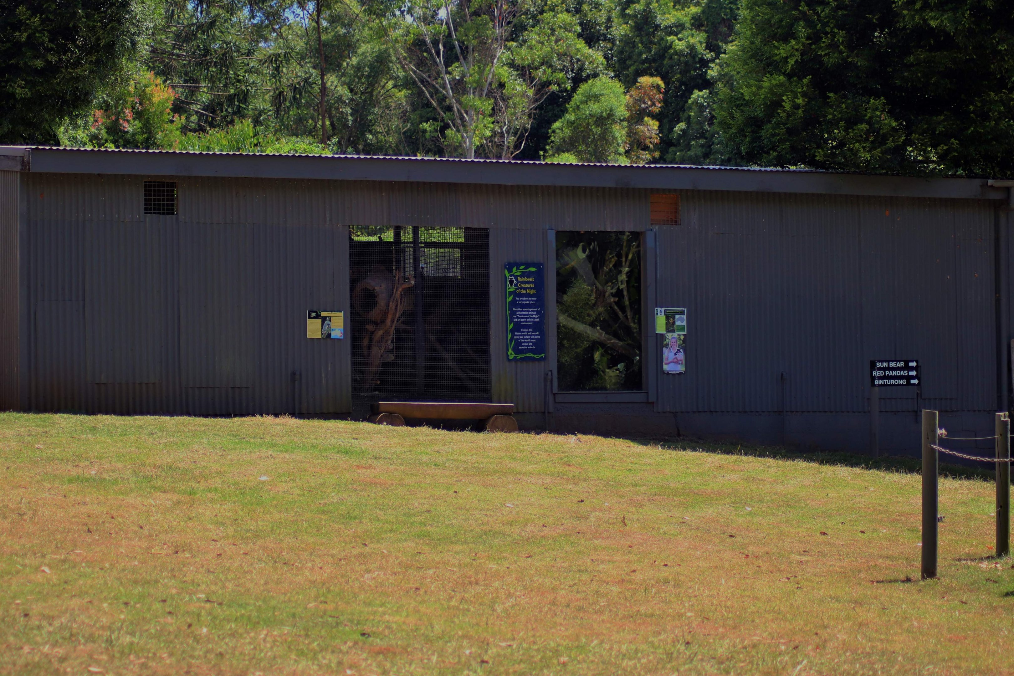 Nocturnal Animal Area