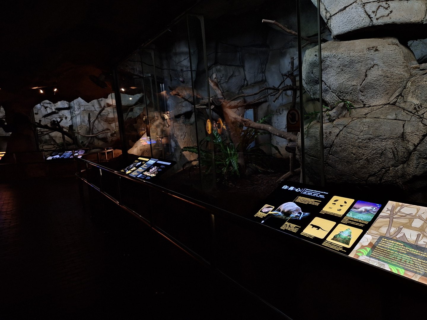 Nocturnal Animals- Formosan Animal Area