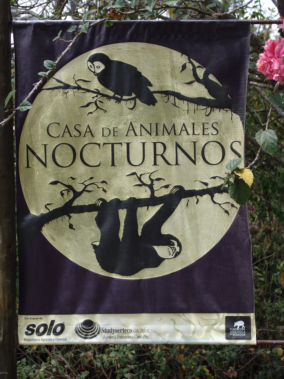 Nocturnal Animal's House signage