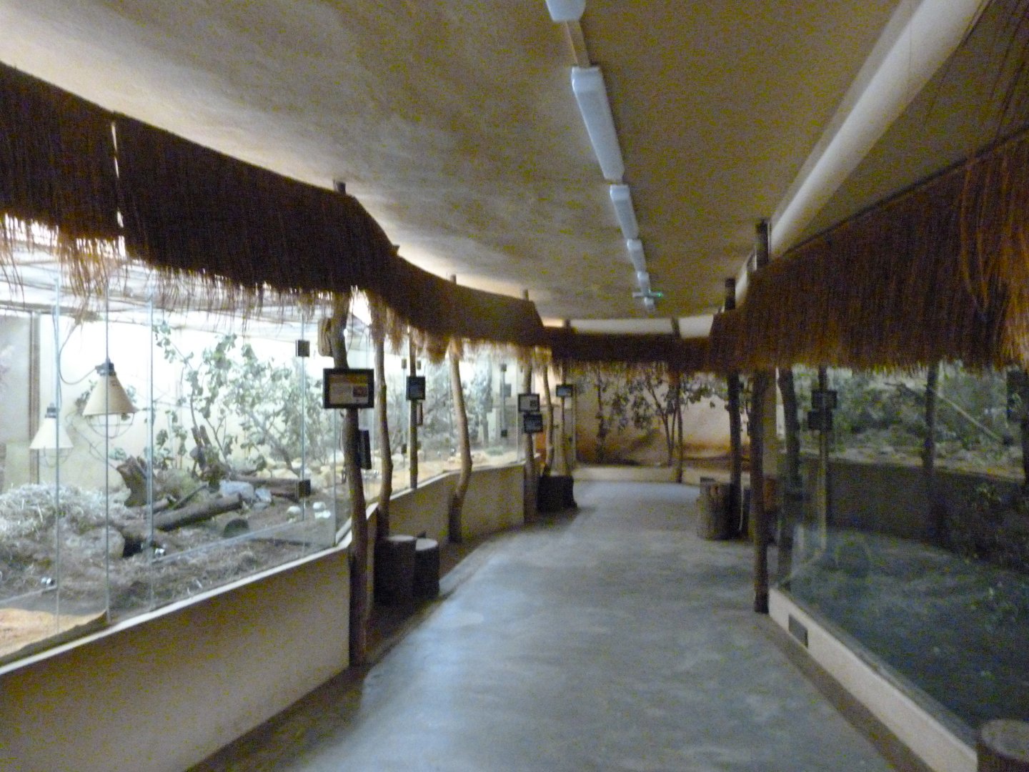 Nocturnal area of African pavillion -Zoo Plzeň (2025)