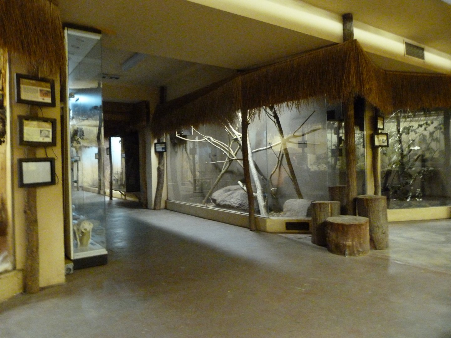 Nocturnal area of African pavillion -Zoo Plzeň (2025)