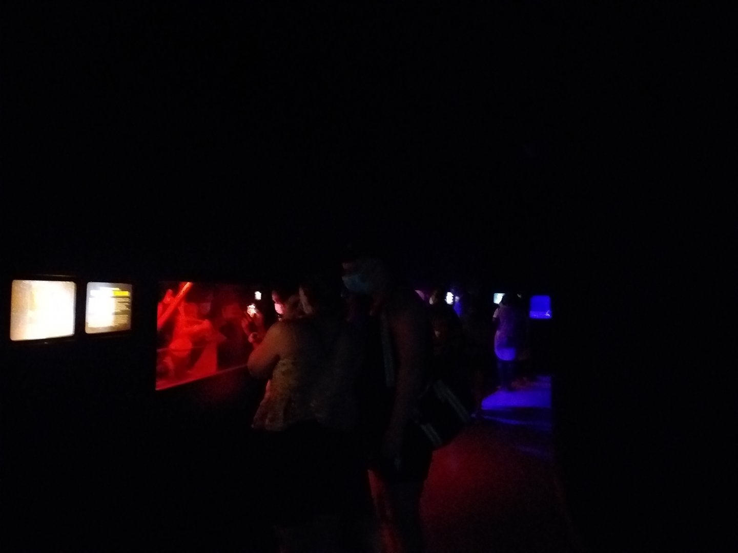 Nocturnal area -TerraNatura Benidorm (2021)