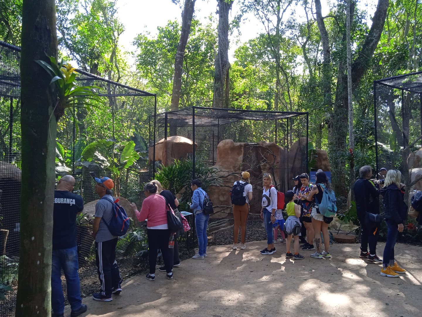 Nocturnal birds aviary