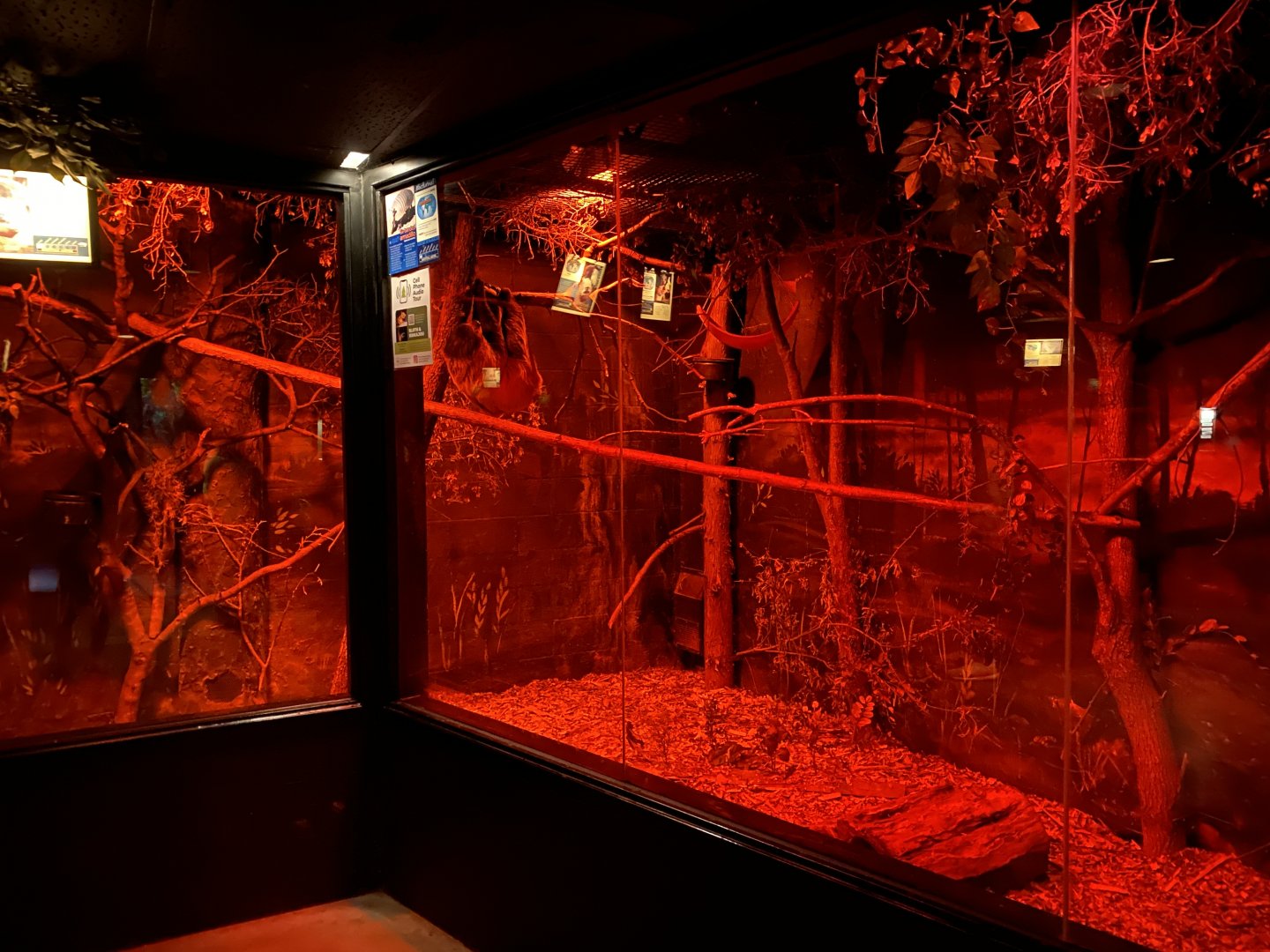 Nocturnal Building - Line’s Two-Toes Sloth/Kinkajou/Six-Banded Armadillo Exhibit