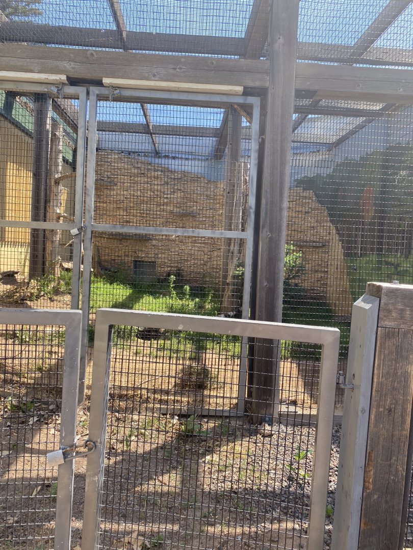 Nocturnal building Swift fox exhibit