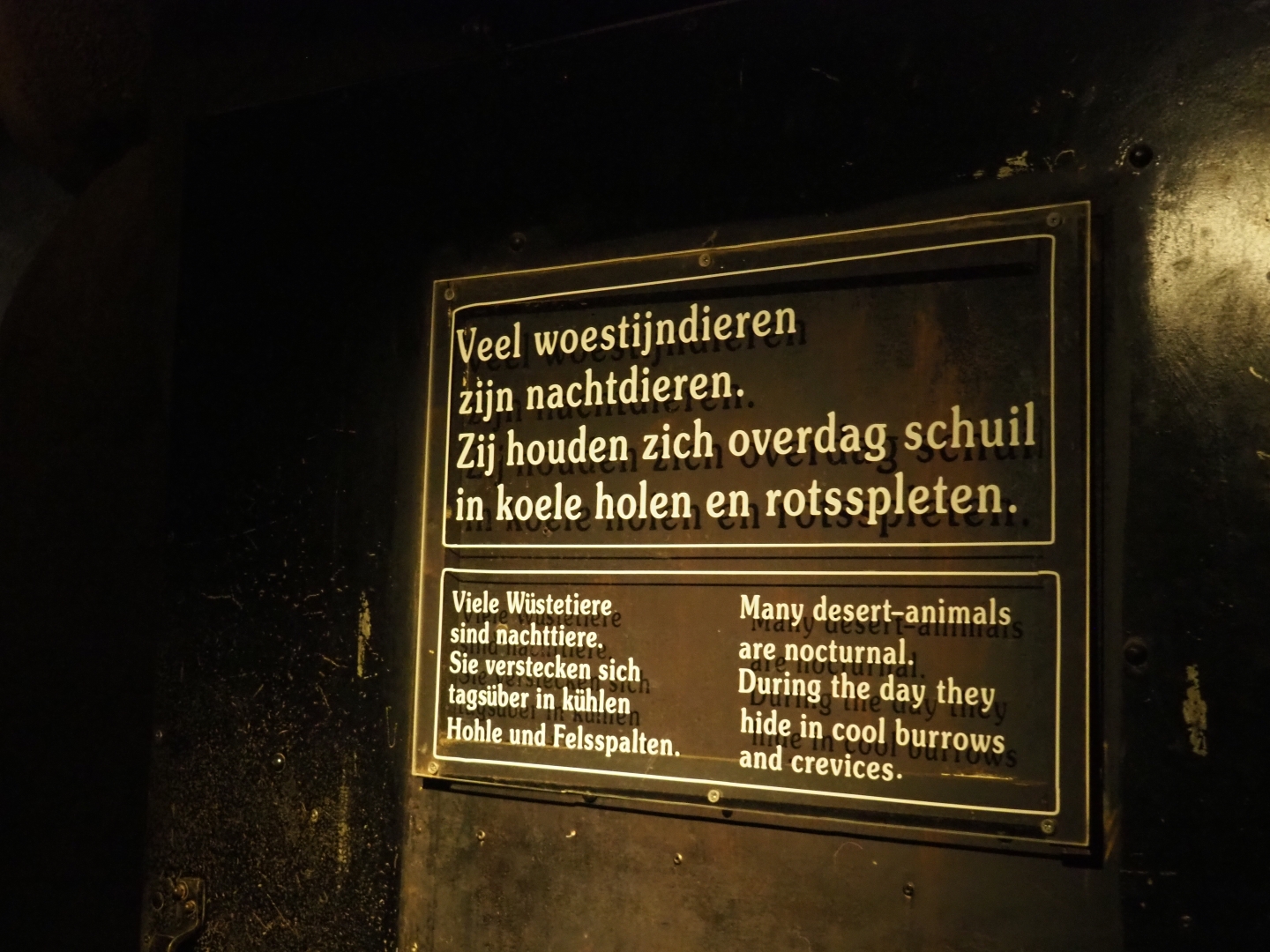 Nocturnal desert animals sign (Sep 16th, 2018)