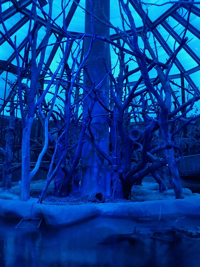 Nocturnal dome - central enclosure