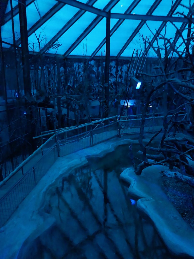 Nocturnal dome - General view