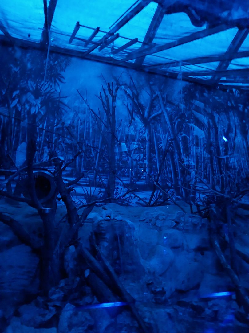 Nocturnal dome - Mixed species enclosure