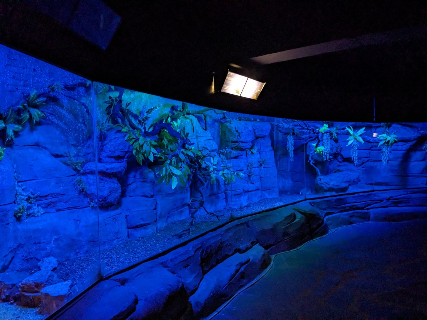 Nocturnal Enclosure example